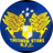 Treowen Stars