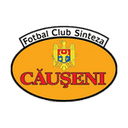 Sinteza Căuşeni