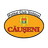Sinteza Căuşeni