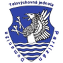Partizán Domaniža