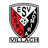 SV Admira Villach