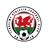 Llanelwy Athletic