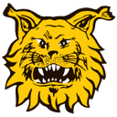 Ilves IV