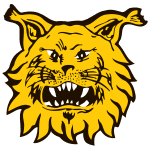 Ilves IV