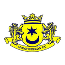 Moneyfields W