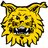 Ilves-Kissat juniorit