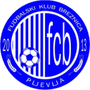 Breznica