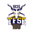 TFSE Budapest