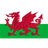 Wales U17 W
