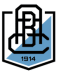Branik