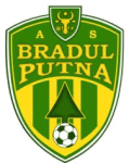 Bradul Putna