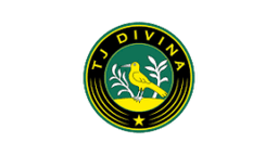 Divina