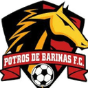 Potros De Barinas