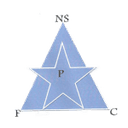 New Star