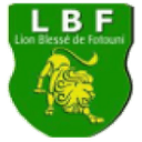 Lion Blessé
