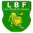 Lion Blessé