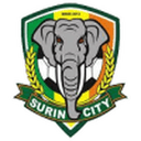 Surin