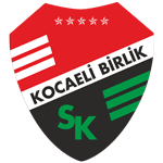 Kocaeli Birlikspor